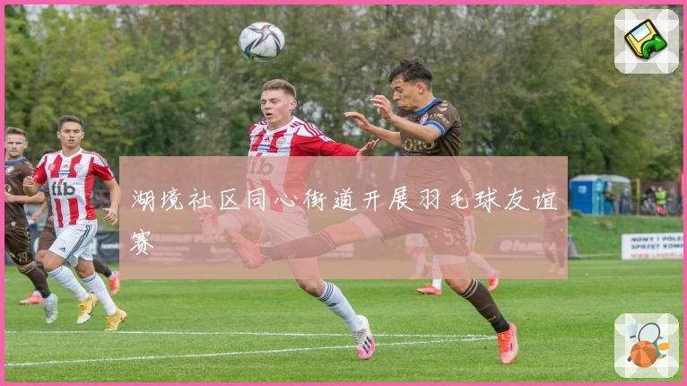 湖境社区同心街道开展羽毛球友谊赛