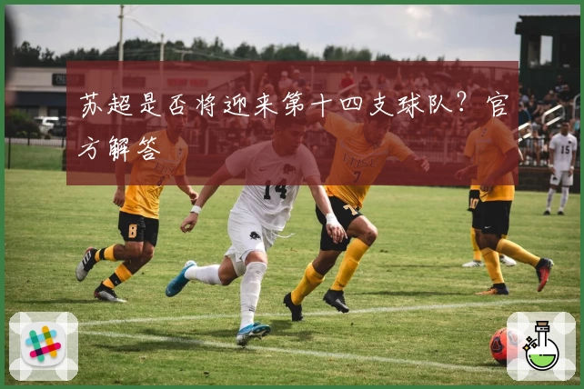 苏超是否将迎来第十四支球队？官方解答